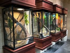 -帕帕拉兹宠物(亚洲旗舰店)