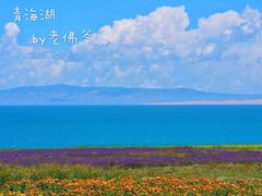 -青海湖国家重点风景名胜区