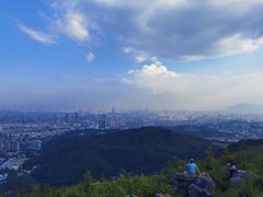 -长虫山生态公园风景林