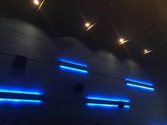 -奥斯卡升龙国际影城(RealD Cinema)