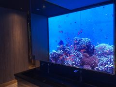 -SFC上影影城(港汇永华IMAX激光店)