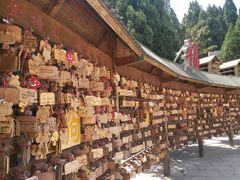 -龙口南山旅游景区