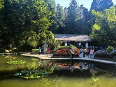 -庐山风景区花径公园