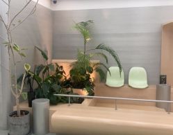 -纯粹医美
