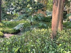 -成都市活水公园