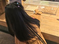 -珠海横琴国家地理探险家中心(创新方)