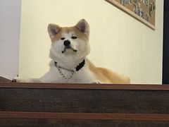 -YCHL Studios健身工作室(市二宫店)