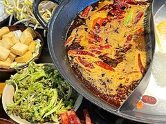 -阳阳老火锅(小南门店)