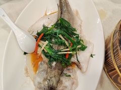 -婆婆家·湛江特色美食(福田振华路店)