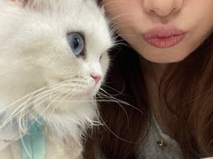 -共舞时光猫咖·狗咖(新街口店)