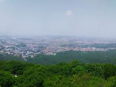-紫金山山顶公园