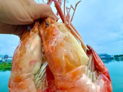 -七的湖·江南蟹舫·阳澄湖农家菜(蟹舫苑店)