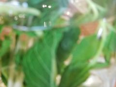 -滇越乘象云南餐厅(次渠店)