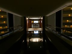 -新加坡文华东方酒店