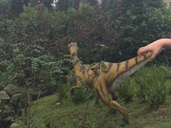 -自贡恐龙博物馆