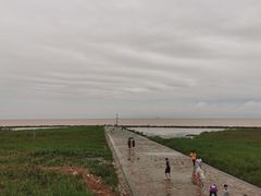 -南汇嘴观海公园