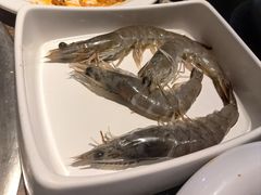 -火炉火自助餐(枫蓝国际店)