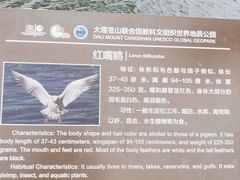 -小普陀