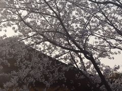 -长广溪湿地公园