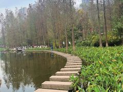 -重庆彩云湖湿地公园