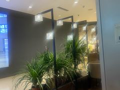 -THE WOODS 简餐 (国贸商城店)