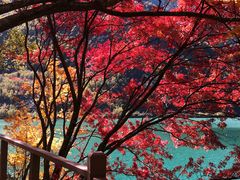 -叠溪松坪沟景区