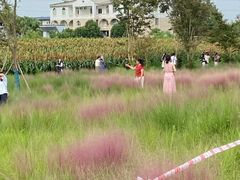 -青龙湖公园