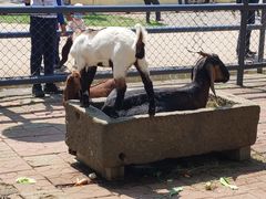 -长白岛森林公园