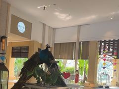 -西双版纳融创皇冠假日度假酒店