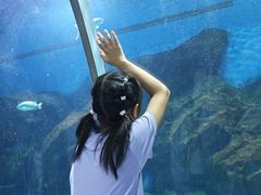 -海合安武汉极地海洋公园