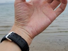 -海堤纪念公园