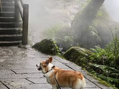 -西岭雪山大飞水景区