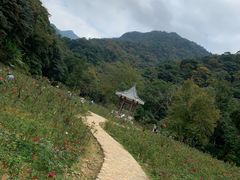 -广州市石门国家森林公园