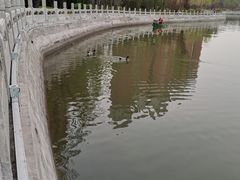 -迎泽公园