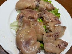 -丁老爷子苏香圆