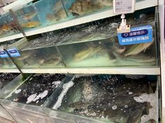 -盒马鲜生(大成店)