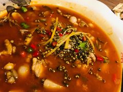 仔姜鲜椒蛙-有红鸡毛店·川菜(建设路店)