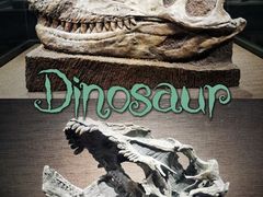 -自贡恐龙博物馆