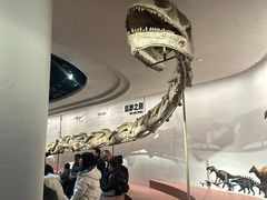 -自贡恐龙博物馆