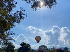-中国科学院西双版纳热带植物园