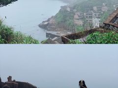 -枸杞岛