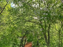 -白草畔自然风景区