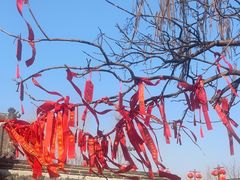 -中心庙