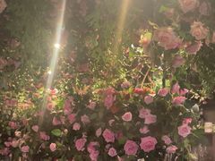 -第101座花园餐厅(湖滨88店)