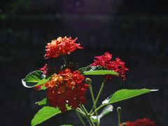 -苏州河梦清园环保主题公园