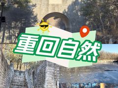 -云岗森林公园