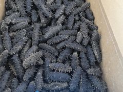 -大连双兴商品城