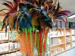 -猫十亿·布偶金渐层·曼基康矮脚猫舍(青年路店)
