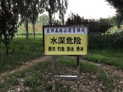 -东郊湿地公园