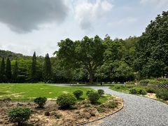 -深圳仙湖植物园